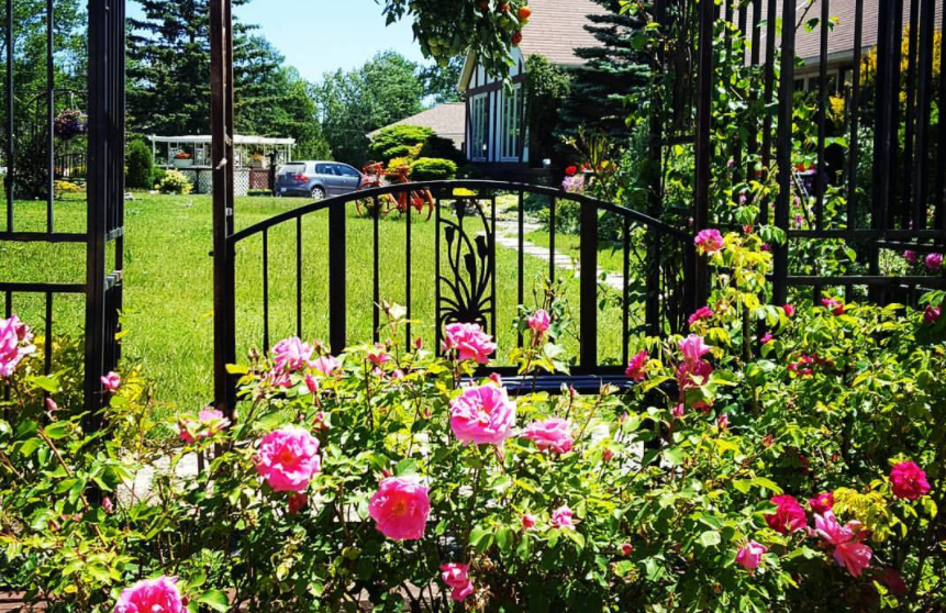 flowers and gate